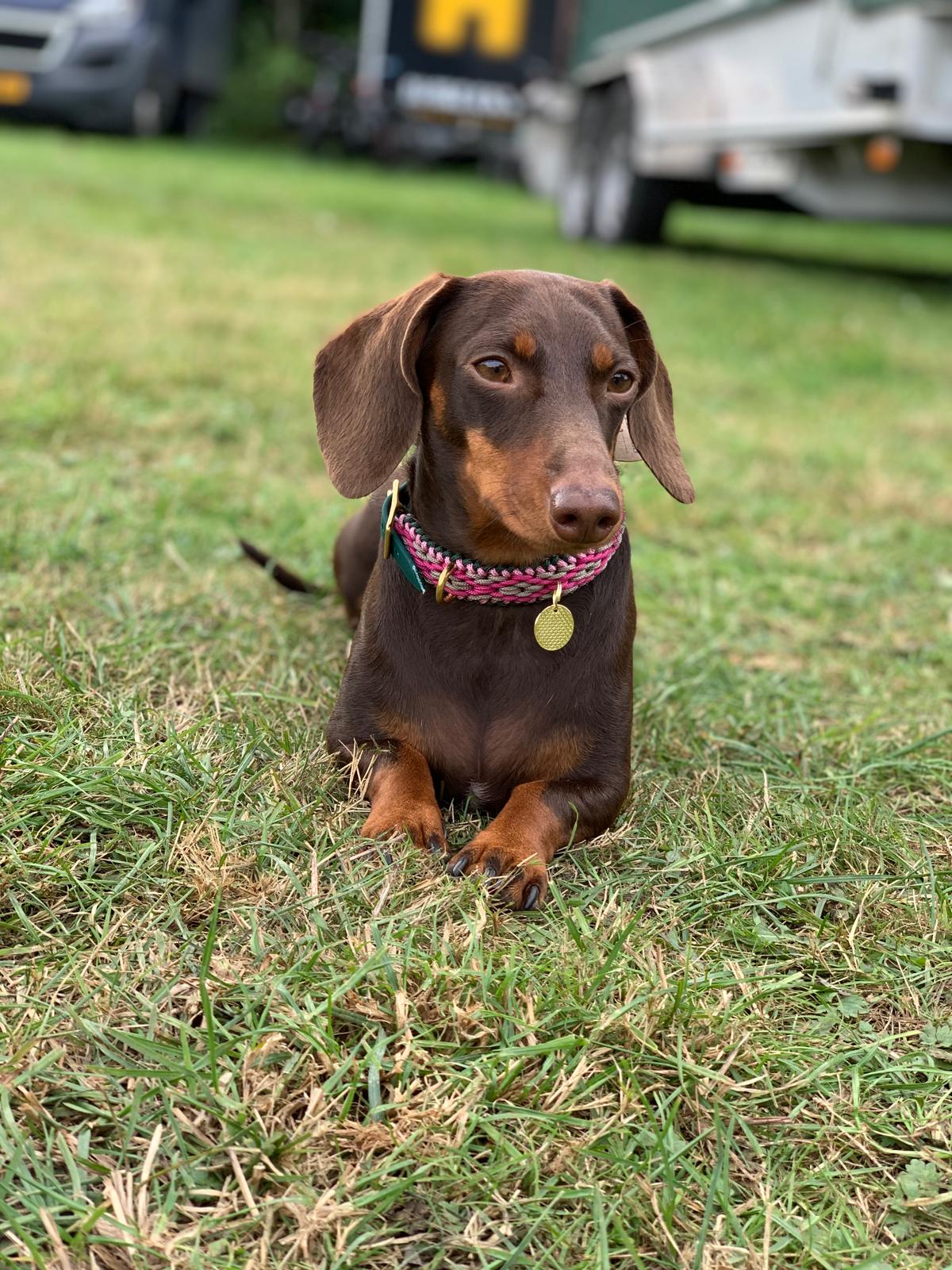 photo 2026 02 17 10 14 46