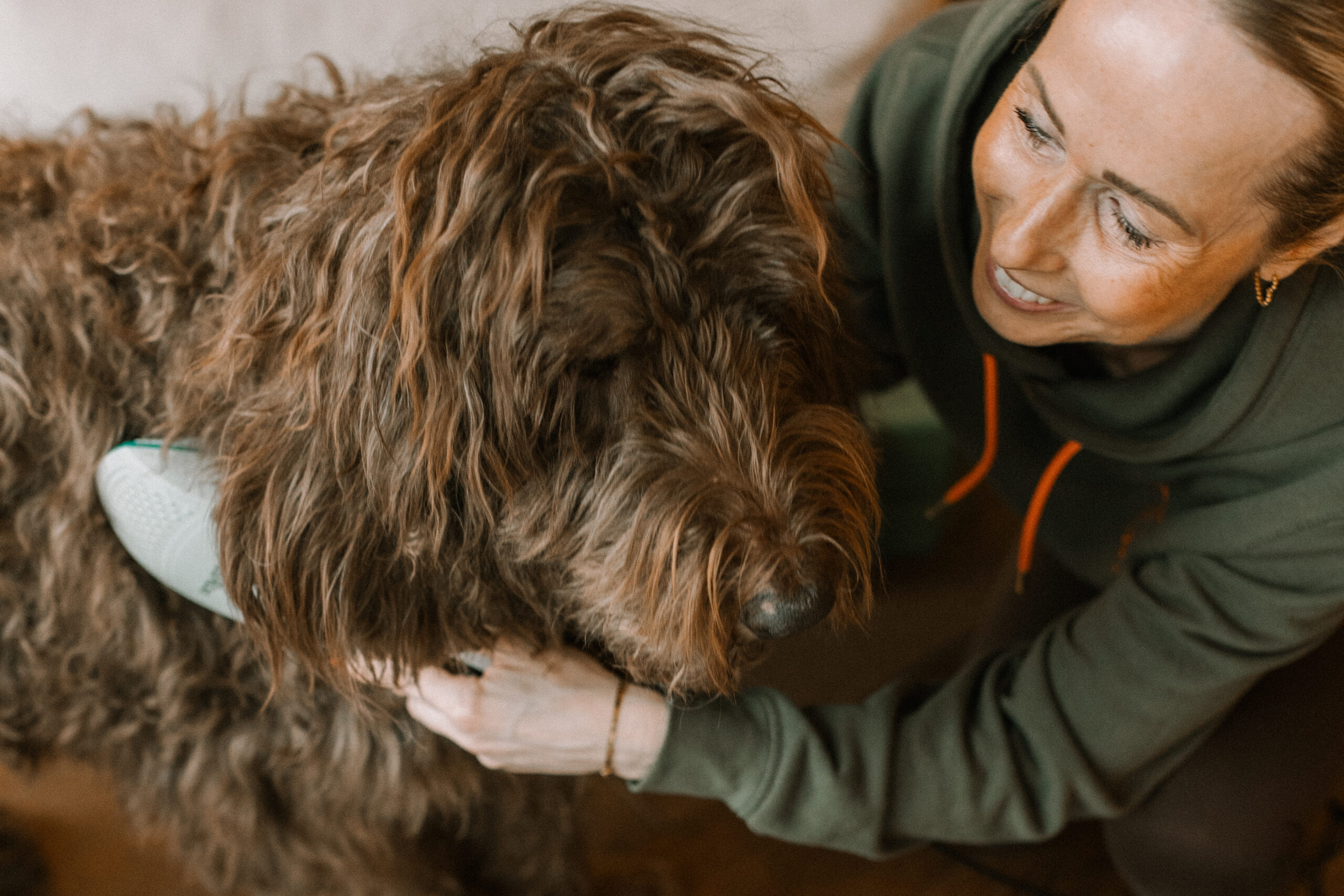 Home tierphysio worpswede feb2025 15