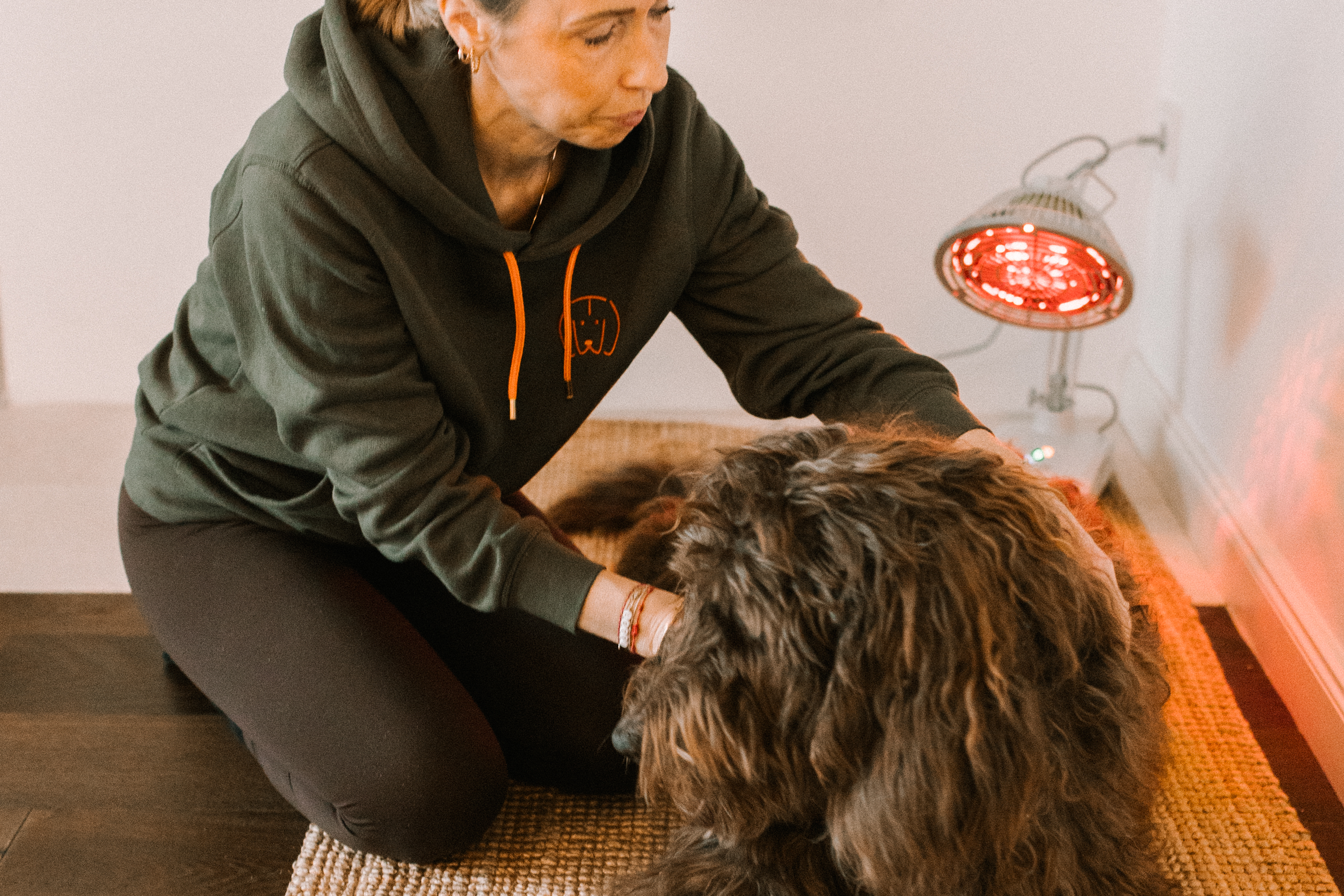 Home tierphysio worpswede feb2025 30 3